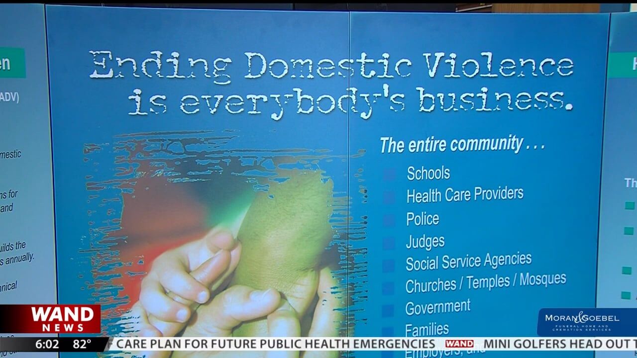 Illinois sees increase in domestic violence deaths